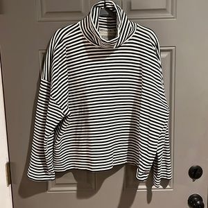 Everlane Black and White Striped Turtleneck Sweater